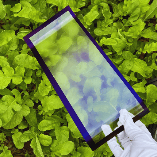 Applications — Where Is Anti-Reflective Glass Used?