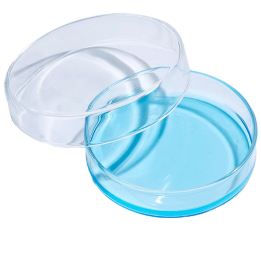 Antibacterial vs. Antimicrobial vs. Bioactive Glass